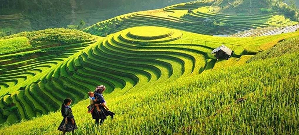 TWO PLACES IN LAO CAI PROVINCE WERE AWARDED VIETNAM RECORD