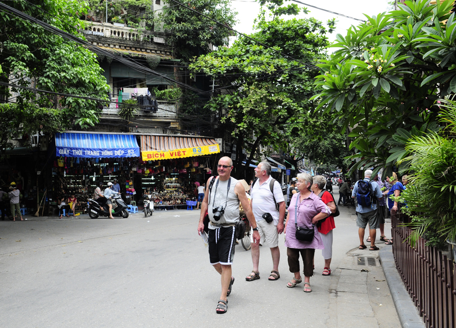 PERFUMED ALSTONIA SCHOLARIS IN HANOI